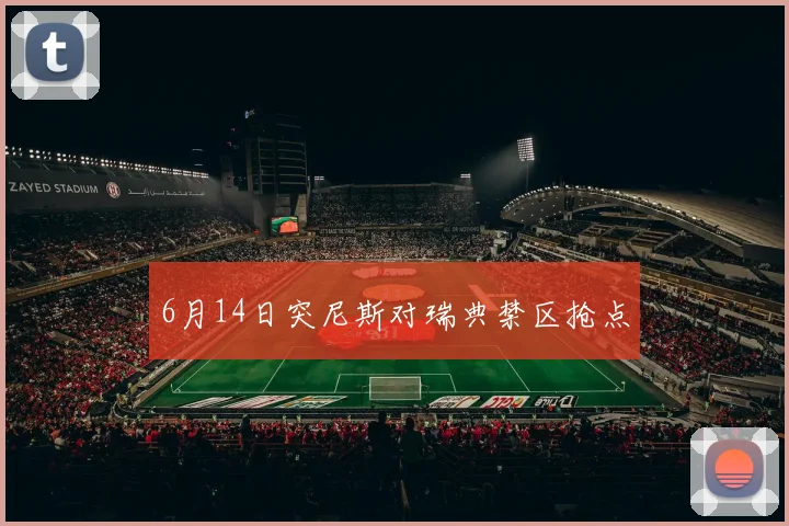 6月14日突尼斯对瑞典禁区抢点