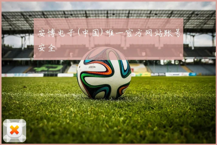 安博电子(中国)唯一官方网站账号安全