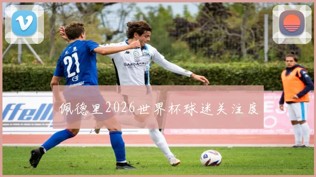 佩德里2026世界杯球迷关注度