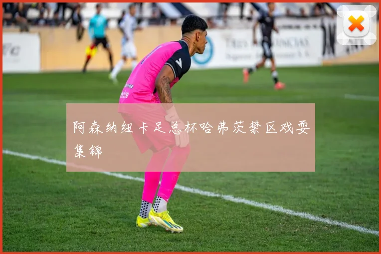 阿森纳纽卡足总杯哈弗茨禁区戏耍集锦