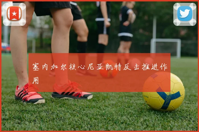 塞内加尔核心尼亚凯特反击推进作用