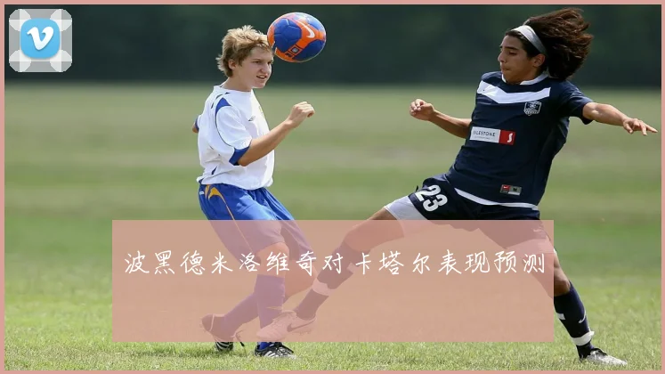 波黑德米洛维奇对卡塔尔表现预测