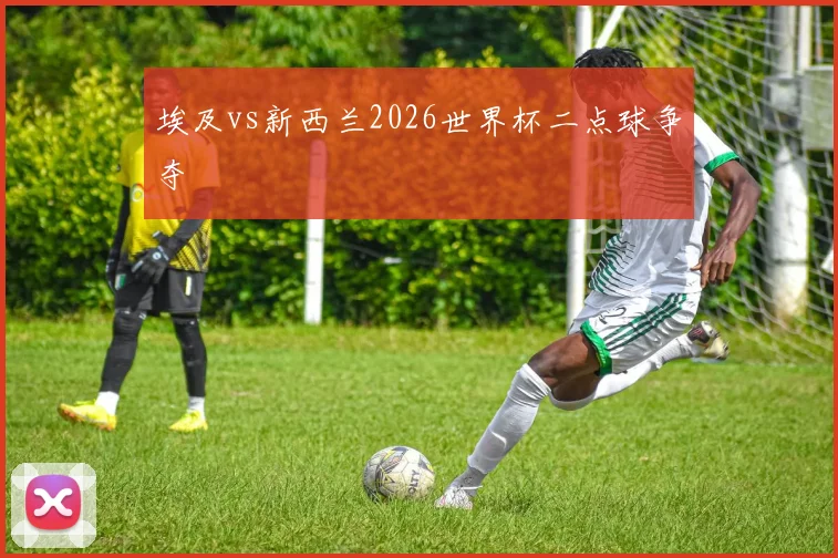 埃及vs新西兰2026世界杯二点球争夺